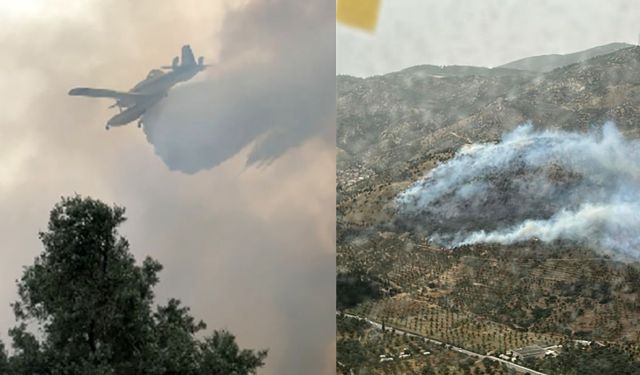 Bayındır’da zeytinlik yangını 2,5 saatte kontrol altına alındı