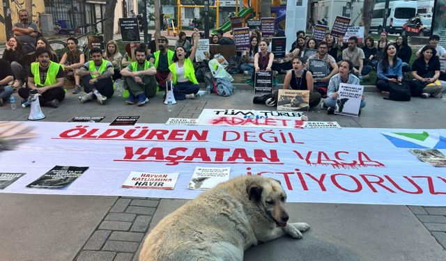 İzmir'de Yaşam Hakkı Savunucularından Anayasa Mahkemesi'ne tepki: Bugün can dostlarımızın ölümünü meşrulaştırmıştır