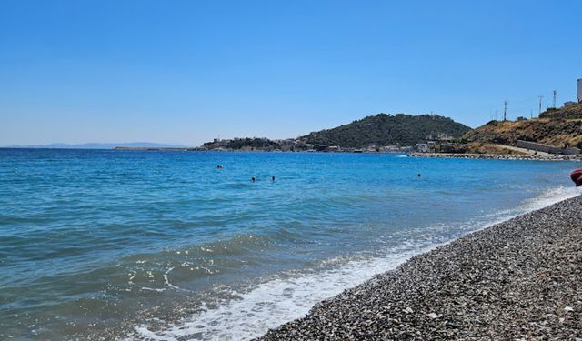İzmir'de yelken tutkunlarının durağı: Kuyucak Plajı'na ESHOT ile nasıl gidilir?