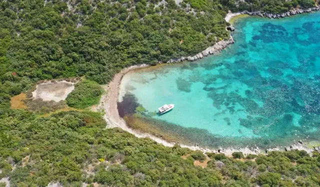 İzmir'de bir balıkçı köyü: Çam ağaçlı yolu, buz gibi turkuaz suyu ile gizli bir cevher