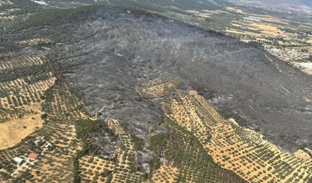 Foça'daki yangın kontrol altında
