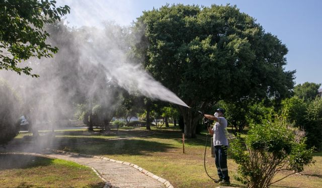 Güzelbahçe'de yaz boyunca sürecek mücadele başladı