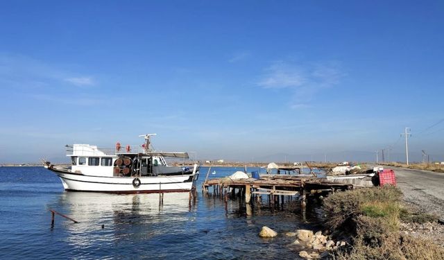 İzmir'de gözlerden uzak bir doğa harikası: Homa Dalyanı nerede? Nasıl gidilir?