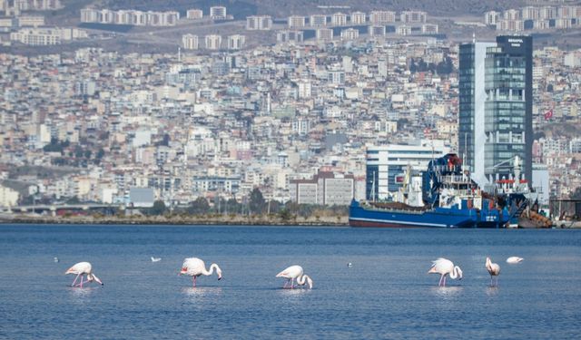İzmir’in iklim eylemi çalışmaları Avrupa'da konuşuldu
