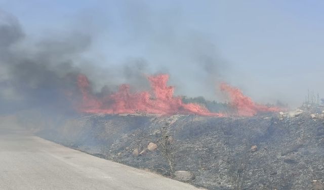 İzmir Kemalpaşa'da korkutan yangın: 4 civciv kurtarıldı