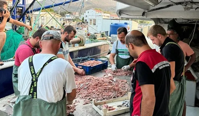 İzmir’de balıkçı barınaklarına ve parekende satış noktalarına denetim: 1 milyonluk ceza
