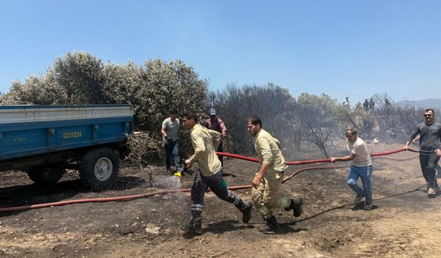 İzmir'de çıkan orman yangını kontrol altına alındı