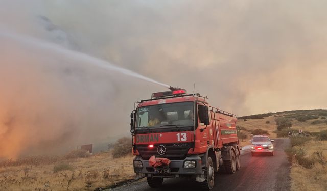 İzmir'de korkutan yangın: Yayılmadan müdahale edildi