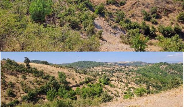 İzmir’de lisansız RES projesinde yeni gelişme