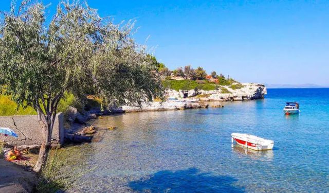 İzmir'de zeytinliklerin gölgesinde deniz keyfi: Boyabağı Koyu'na ESHOT ile nasıl gidilir?