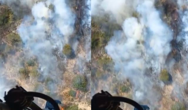 İzmir'deki orman yangını korkuttu