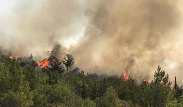 İzmir’de iki noktada orman yangını: Alevler kontrol altına alındı