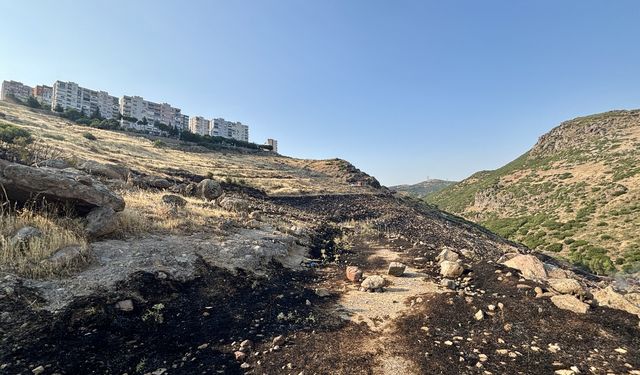 İzmir’de otluk alanda yangın: 1 hektar alan zarar gördü