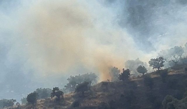 Bayındır’da zeytinlik alanda çıkan yangın kontrol altına alındı