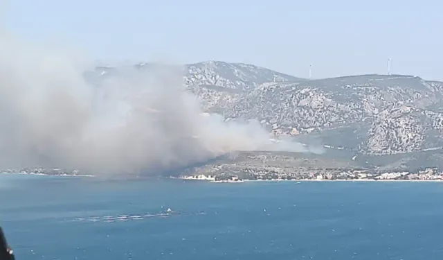 Karaburun'da yangın: Havadan ve karadan müdahale başladı