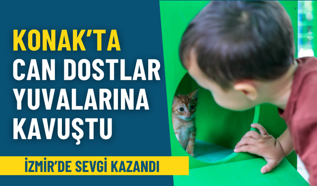 İzmir’de sevgi kazandı: Konak’ta can dostlar yeni yuvalarına kavuştu