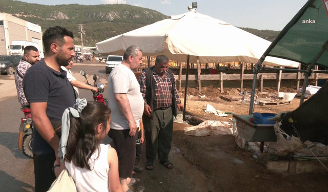Bornova’da kurbanlık fiyatları düştü: Alıcı memnun, satıcı şikâyetçi