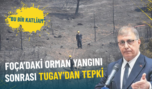 Foça’daki orman yangını sonrası Tugay’dan tepki: Bu bir katliam