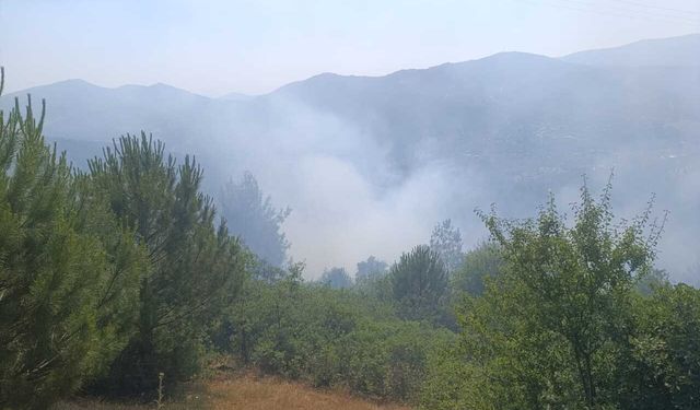 Ödemiş'te yangın paniği: Rüzgarla büyüyen alevler söndürüldü