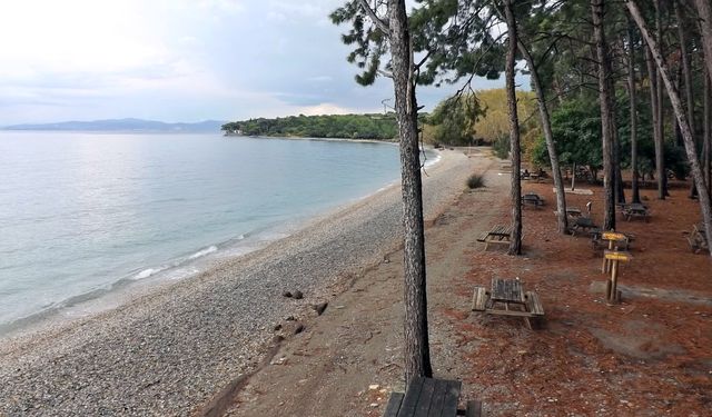 Piknik ve deniz keyfi bir arada: İzmir’e 2 saat uzaklıktaki doğal plaj