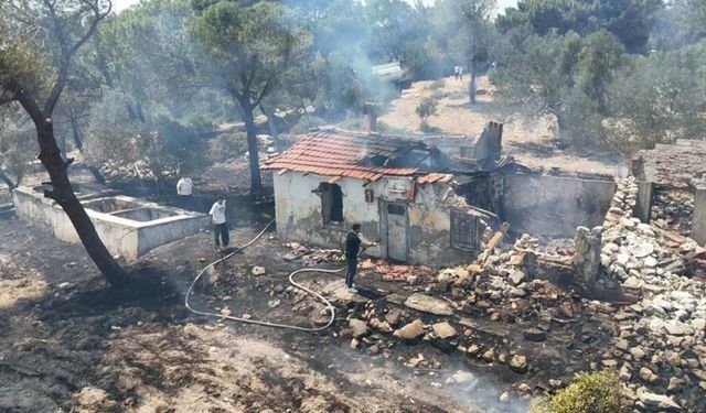 İzmir’in ciğerleri yandı: 2 günde 280 futbol sahası büyüklüğünde orman kül oldu