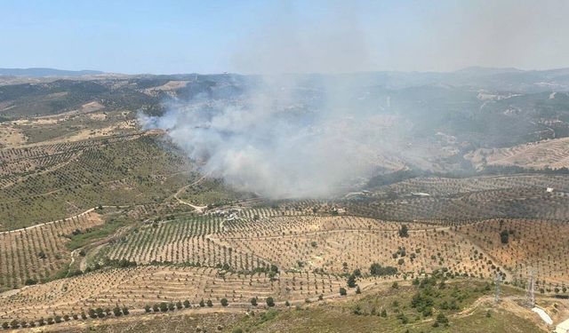 İzmir Seferihisar’da yangın: 3 uçak ve 4 helikopterle müdahale edildi