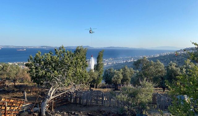 Alevlere karşı zamanla yarış: İzmir İtfaiyesi 48 saatte 220 müdahale yaptı