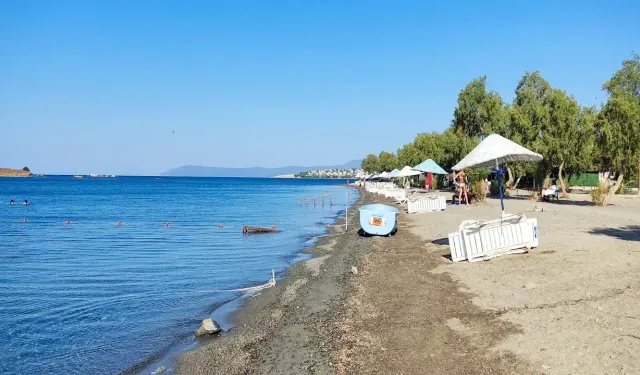 Seferihisar'ın durgun denizi ile ünlü plajı: ESHOT ile kolay ulaşacak, ağaçların gölgesinde serinleyeceksiniz