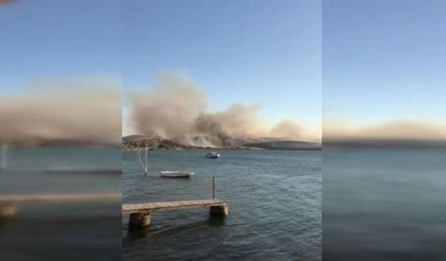 İzmir Aliağa'da orman yangını: Yangın kontrol altın alındı