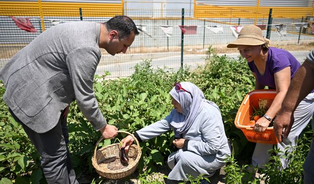 Bornova'da ev kadınları toprağa can verdi: Şehrin ortasında tarım