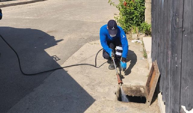 İzmir’de sivrisineğe geçit yok: 30 ilçe 254 bin noktada yoğun ilaçlama