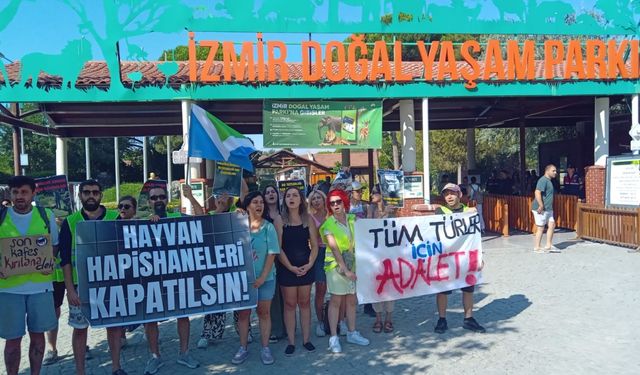 İzmir’de Zeus ve Pars için sesler yükseldi: Hayvanat bahçelerine değil, yaşayan ormanlara ihtiyacımız var