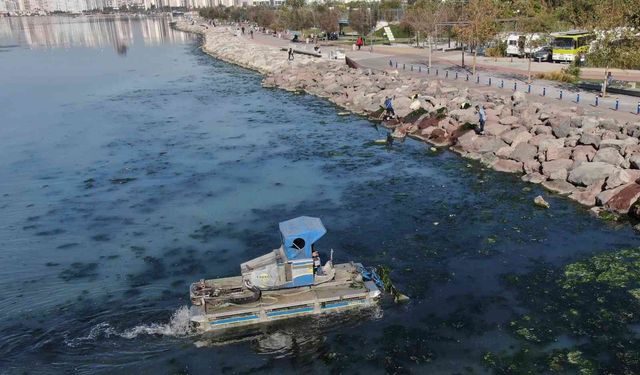 İzmir Körfezi temizliği için yeni adım: Başkan Tugay yetki isteyecek