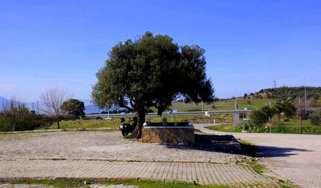 İzmir'in dilek kapısı: Sıkıntısı olan bu türbeye gidiyor