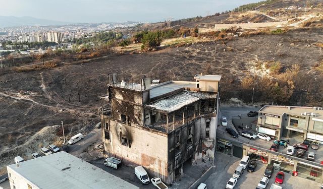İzmir'de yangın sonrası acı görüntüler: Felaketin boyutu kare kare ortaya çıktı