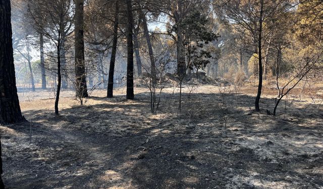 Yangın daha sabah başlamıştı: İzmir’de acı bilanço ortaya çıktı