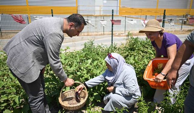 İzmir'de 'Kent Bostanları' büyüyor: 3 mahalleye daha kurulacak