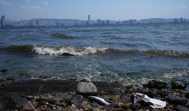 İzmir milletvekilinden körfez isyanı: Taşın altına elinizi koyun!