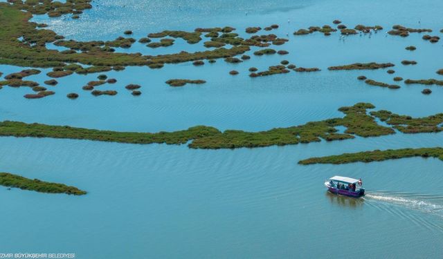 Kuşların yaşam alanı İzmirlilere açıldı: Flamingo Yolu tekne turu başladı
