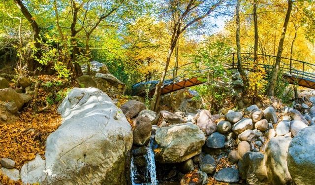 İzmir Homeros Vadisi ve Bornova Deresi nerede? Homeros Vadisi ve Bornova Deresi'ne nasıl gidilir?