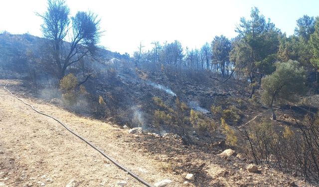 Aliağa'da makilik alanda yangın: Kontrol altına alındı