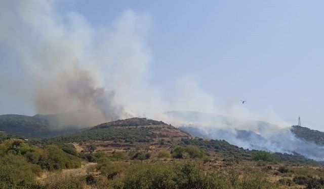 Aliağa'da makilik alanda yangın çıktı: Müdahale 2 saattir devam ediyor