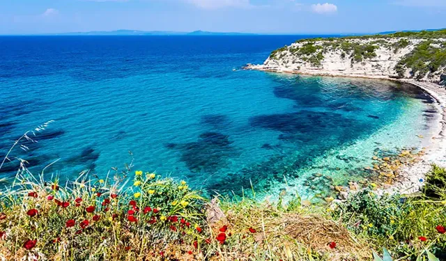 İzmir'de güneş en güzel burada doğuyor: Çam ormanları içinde sakin bir koy