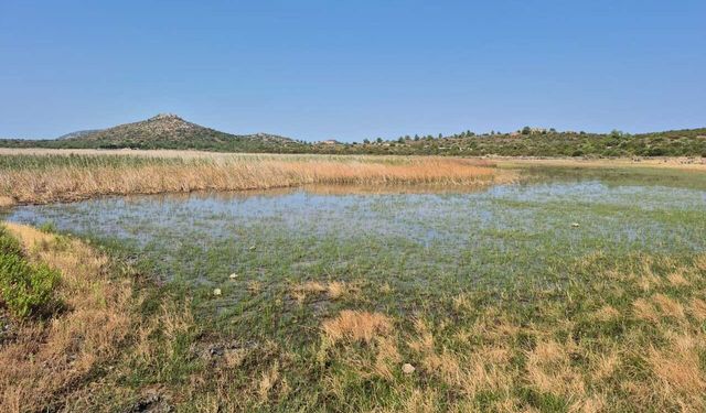 İris Gölü’ne can suyu: Yerel inisiyatiflerden DSİ’ye çağrı