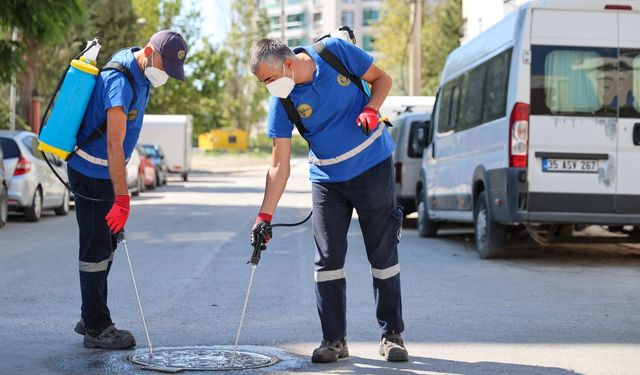 Buca’da 24 saat ilaçlama seferberliği başladı