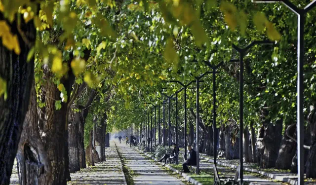 İzmir'in en güzel yollarından biri: Dutlu Yol