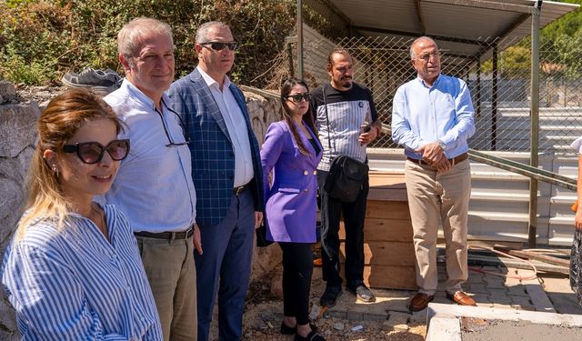 Gaziemir Belediyesi düğmeye bastı: Can dostlar emin ellerde!