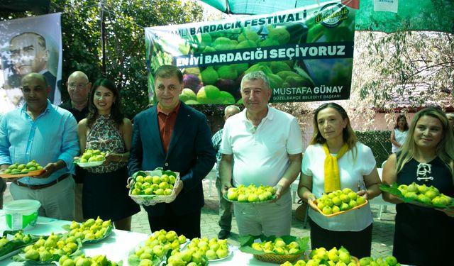 ‘Güzelbahçe’de ‘Tatlı’ festival: Köylünün ürününü dalında bırakmadık
