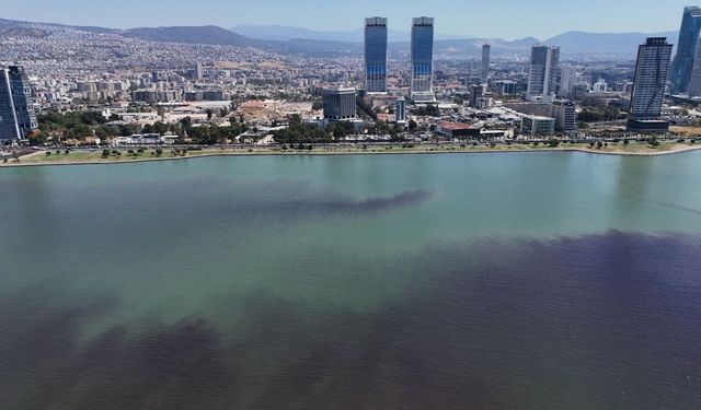 İzmir Körfezi’nin geleceği Foça’da masaya yatırılacak
