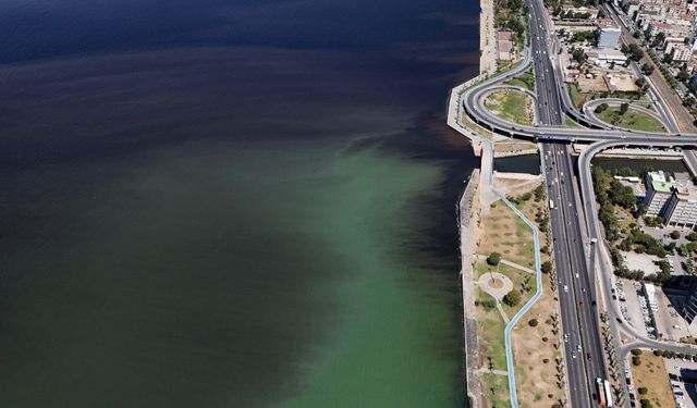 İzmir Körfezi’nde tarih tekrarlanıyor: Balık ölümleri yeniden başladı